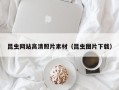 齐河昆虫网站高清照片素材（昆虫图片下载）